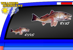 Redfish full color vinyl decal