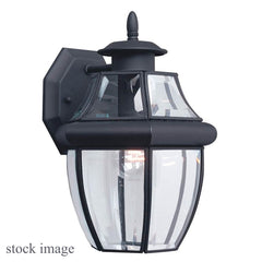 Sea Gull Generation Lighting 8038-12 Outdoor Wall Lamp Black