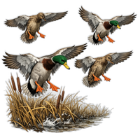 Waterfowl & Turkey Design Decals