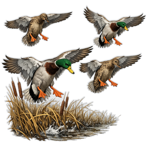Waterfowl & Turkey Design Decals
