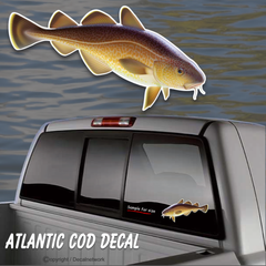 atlantic cod fish vinyl decal