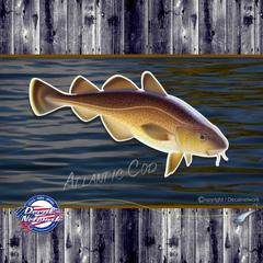 atlantic cod fish vinyl decal