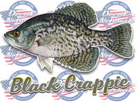 Fish - Fishing Vinyl Decals