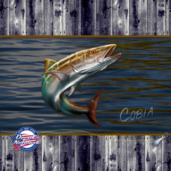 cobia fish vinyl decal