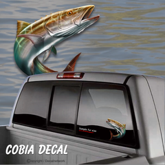 cobia fish vinyl decal