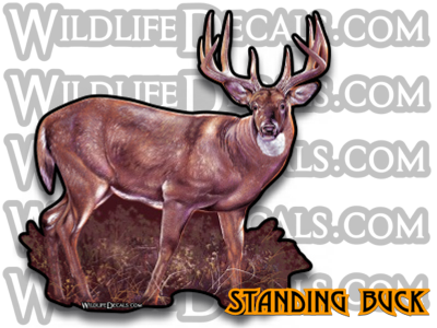 standing whitetail buck sticker