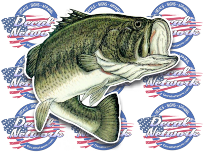 Large Mouth Bass color vinyl fish decal sticker