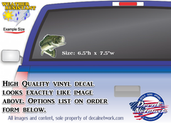 Large mouth bass vinyl decal full color