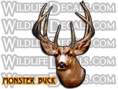 monster whitetail buck sticker