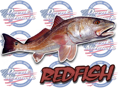 Redfish full color vinyl decal