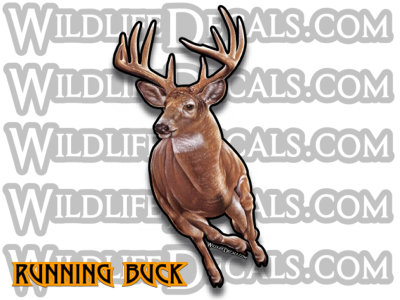 Running whitetail buck deer vinyl decal