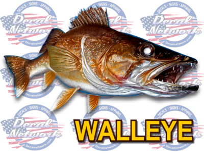 Walleye full color vinyl fish decal - Single Walleye decal