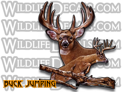 Whitetail deer jumping buck vinyl decal full color wildlife decals
