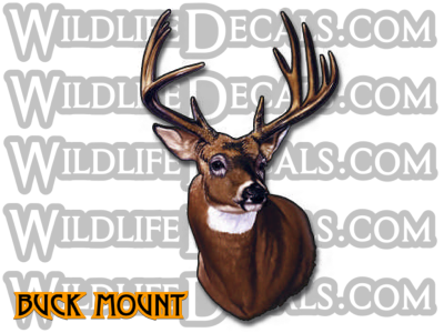 Big Whitetail Buck mount shoulder style vinyl decal